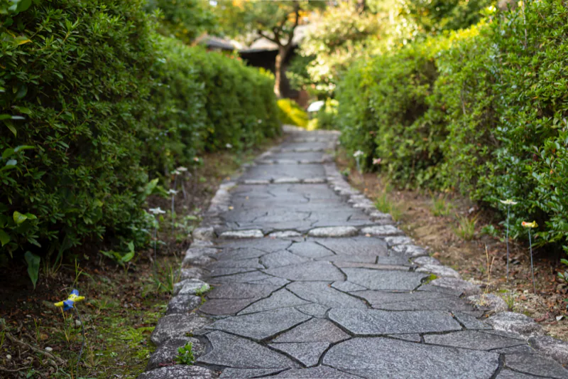 A park path between hedges