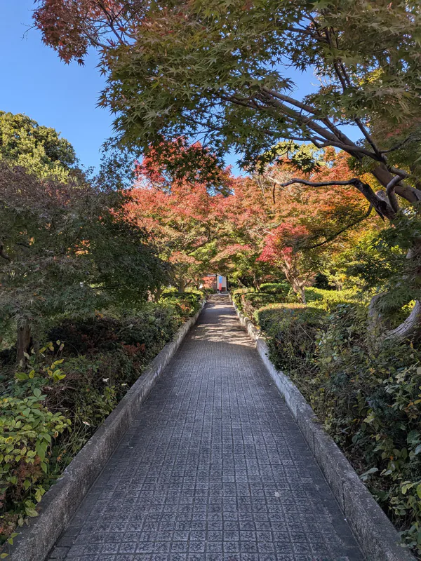 A park path in autumn colors