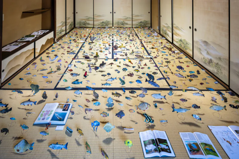 “Sea of Eden”: cut-out fish spread across a tatami room