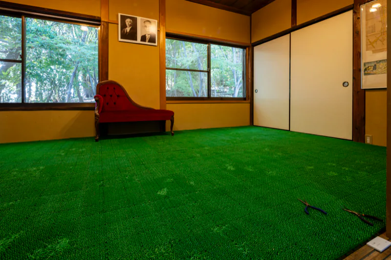 Artificial turf with its blades stretched long